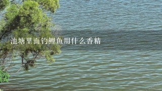 池塘里面钓鲤鱼用什么香精