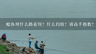 鲶鱼用什么路亚饵？什么钓组？请高手指教？