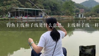 钓鱼主线和子线是什么意思，主线和子线1样大可以吗