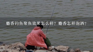 麝香钓鱼聚鱼效果怎么样？麝香怎样泡酒？