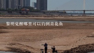 黎明觉醒哪里可以钓到青花鱼