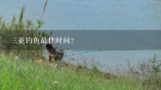 3亚钓鱼最佳时间？