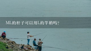 ML的杆子可以用L的竿稍吗?