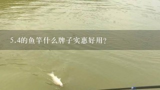 5.4的鱼竿什么牌子实惠好用？