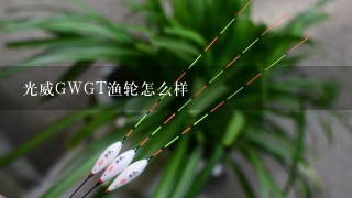 光威GWGT渔轮怎么样