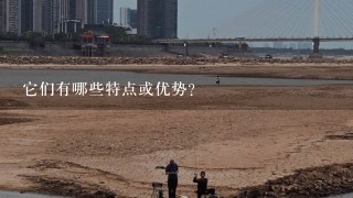 它们有哪些特点或优势？