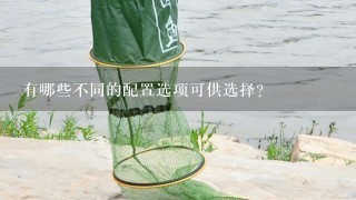 有哪些不同的配置选项可供选择？