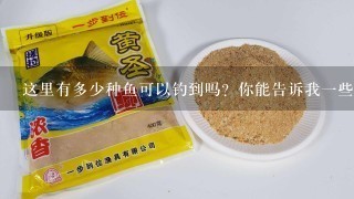 这里有多少种鱼可以钓到吗？你能告诉我一些常见的鱼类种类吗？