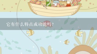 它有什么特点或功能吗？