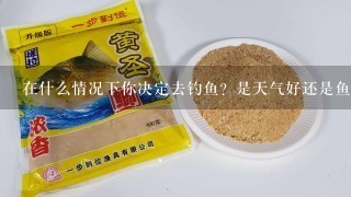 在什么情况下你决定去钓鱼？是天气好还是鱼多才考虑吗？