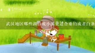 武汉地区哪些湖泊或小溪更适合垂钓或者白条养殖