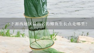 一下湘西地区最出名的鲫鱼生长点是哪里