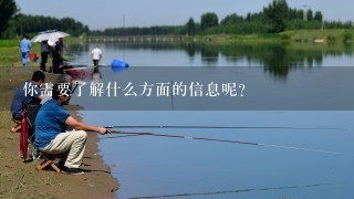 你需要了解什么方面的信息呢