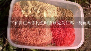 一下在罗庄水库钓鱼时应该先关注哪一类鱼呢