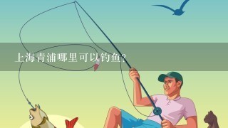 上海青浦哪里可以钓鱼