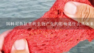 饵料对鱼缸里的生物产生的影响是什么具体来说有哪些变化或特点