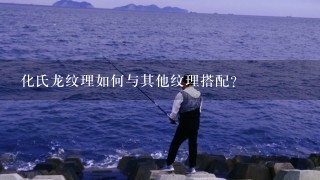 化氏龙纹理如何与其他纹理搭配?