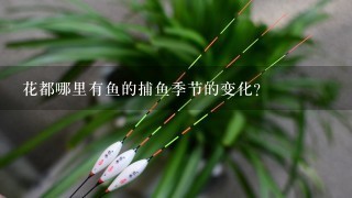 花都哪里有鱼的捕鱼季节的变化?