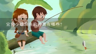 宜宾少娥湖鱼的种类有哪些?