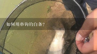 如何用串钩钓白条?