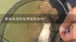 奥威鱼线的处理流程如何?