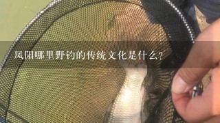 凤阳哪里野钓的传统文化是什么?