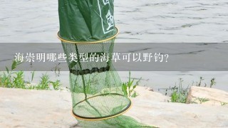 海崇明哪些类型的海草可以野钓?