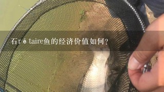 石rétaire鱼的经济价值如何?