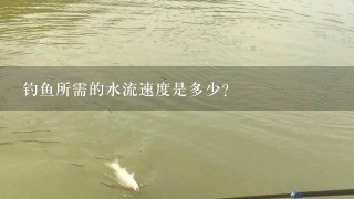 钓鱼所需的水流速度是多少?