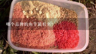 哪个品牌的鱼竿最有名?