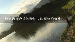 如何选择合适的野钓皮筋颗粒钓鱼线?