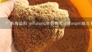 广西海边的 gefangen鱼的常见 gefangen地点有哪些?