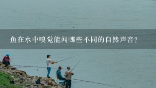 鱼在水中嗅觉能闻哪些不同的自然声音?